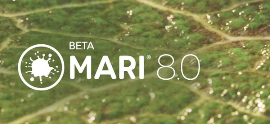 Mari 8.0